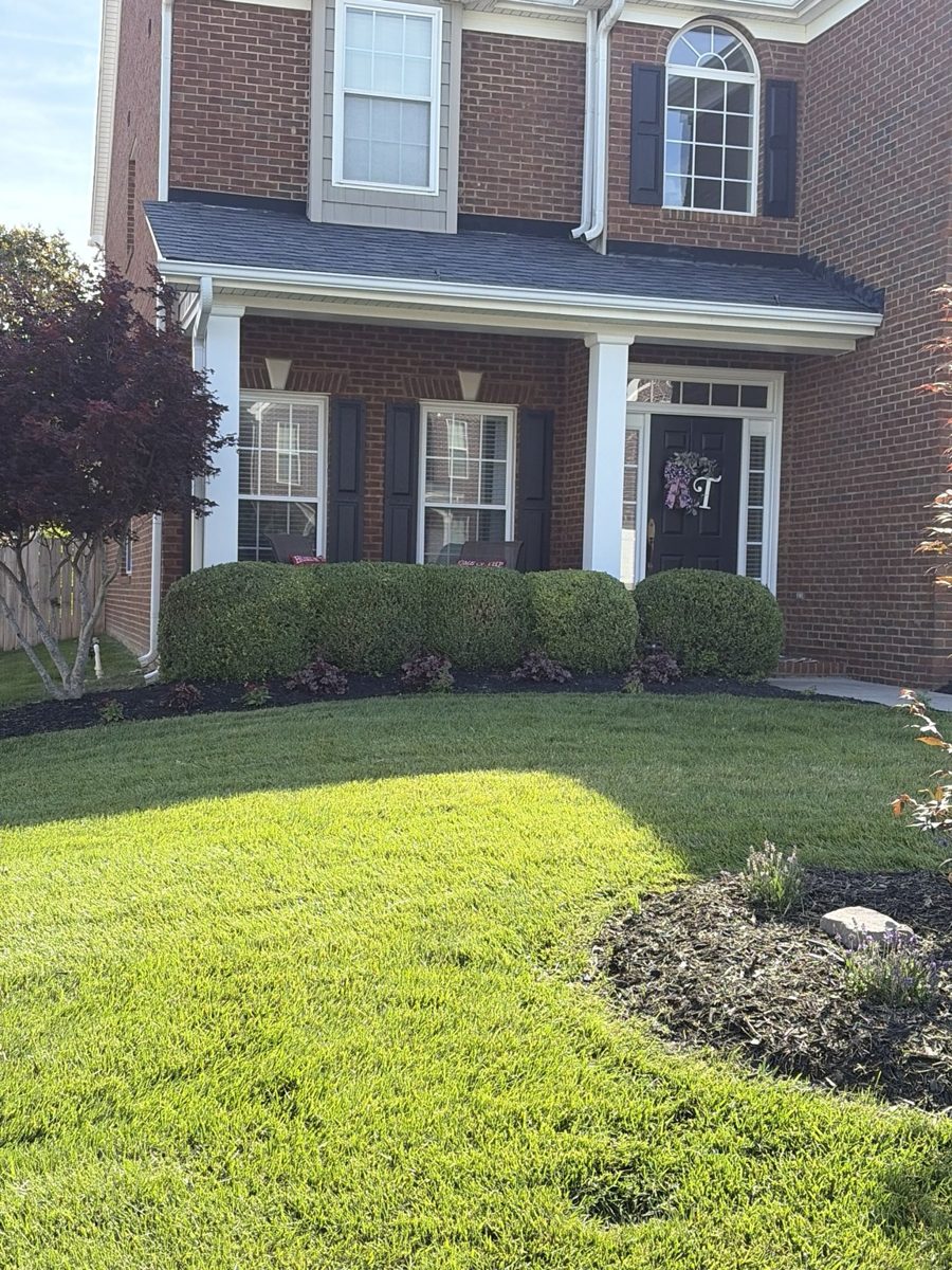 Front yard mulching and trimming project