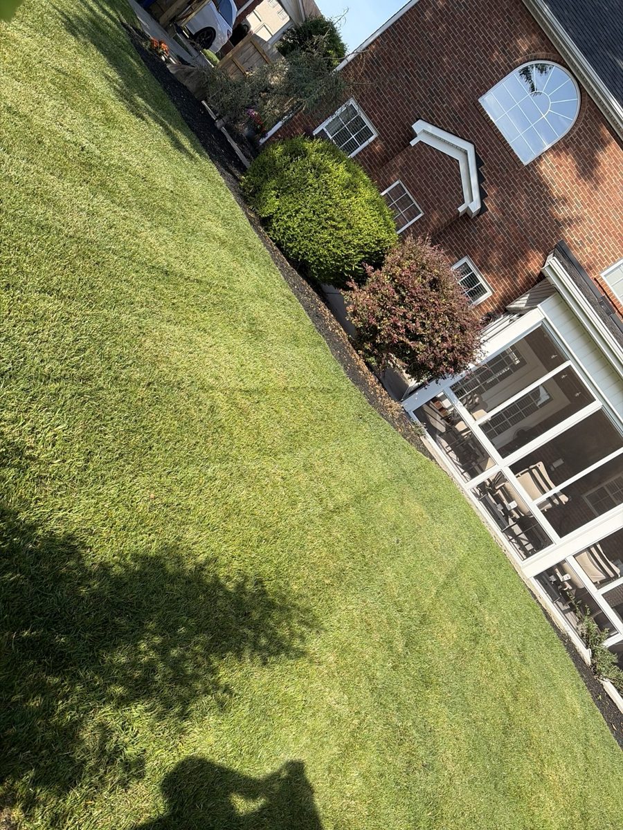 Lawn mowing and backyard maintenance