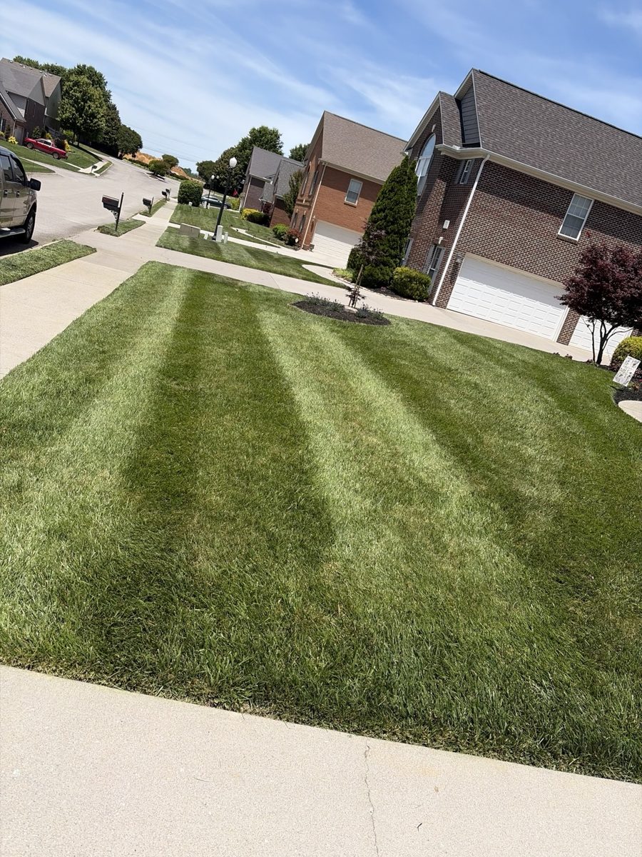 Striped residential lawn by Legacy Outdoor Services