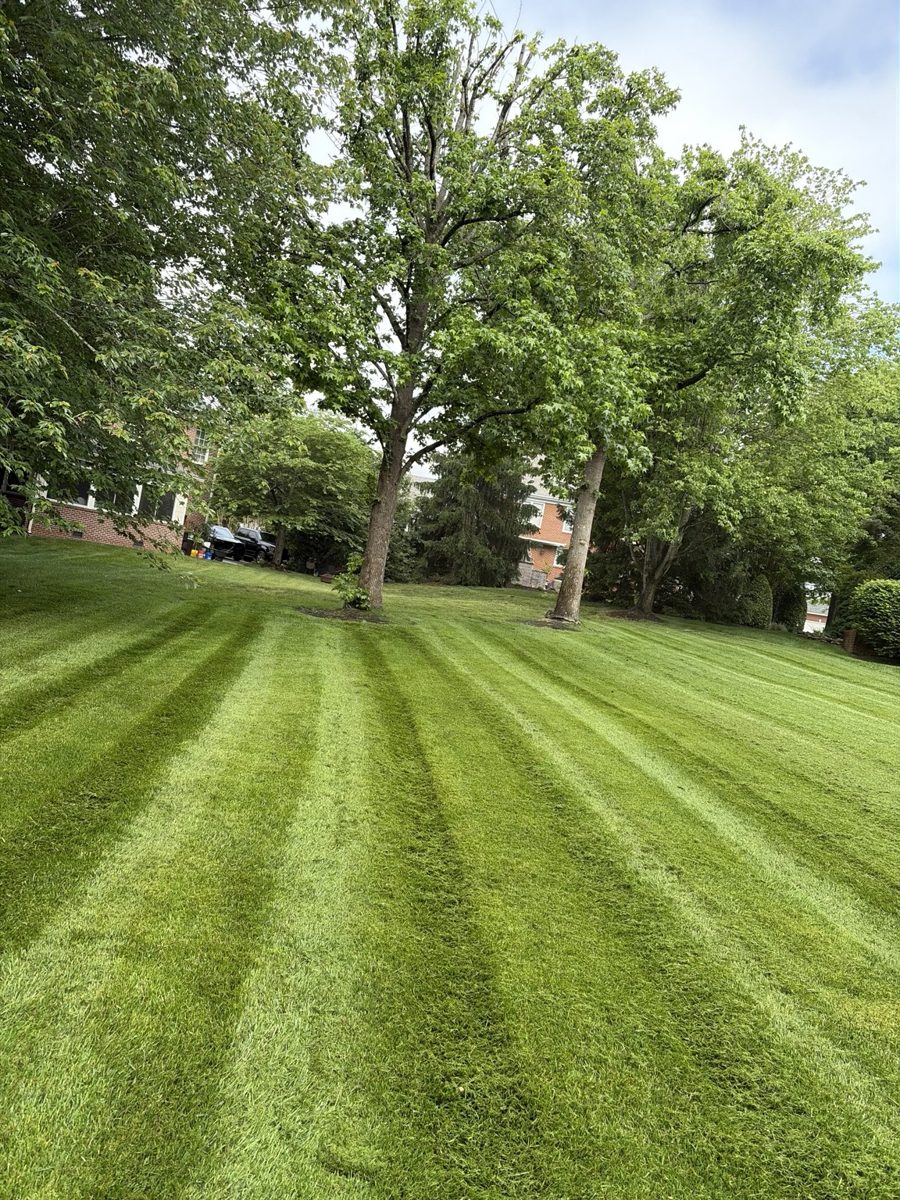 Freshly maintained lawn with mowing stripes